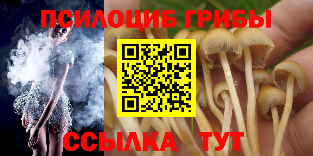 Псилоцибиновые грибы мицелий  Вход с VPN  Каменка 